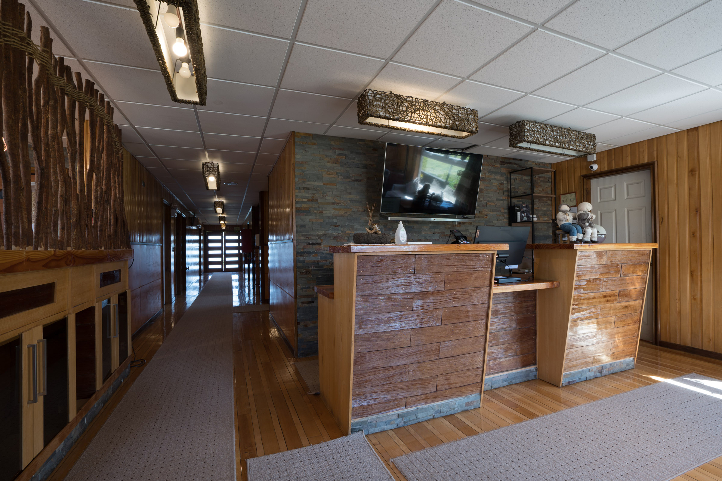 Hotel Aliwen — foto 16