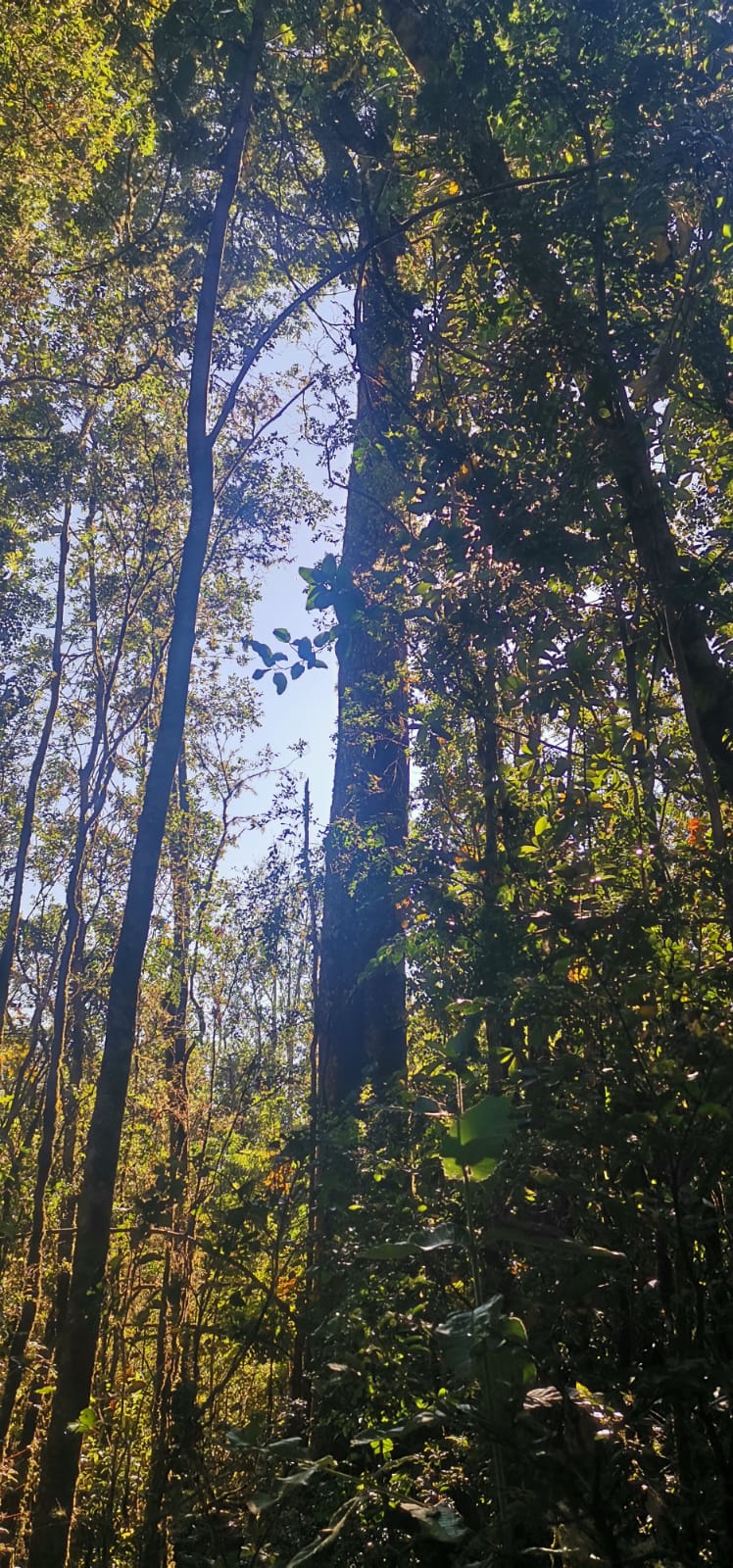 Sendero Queldica — foto 10