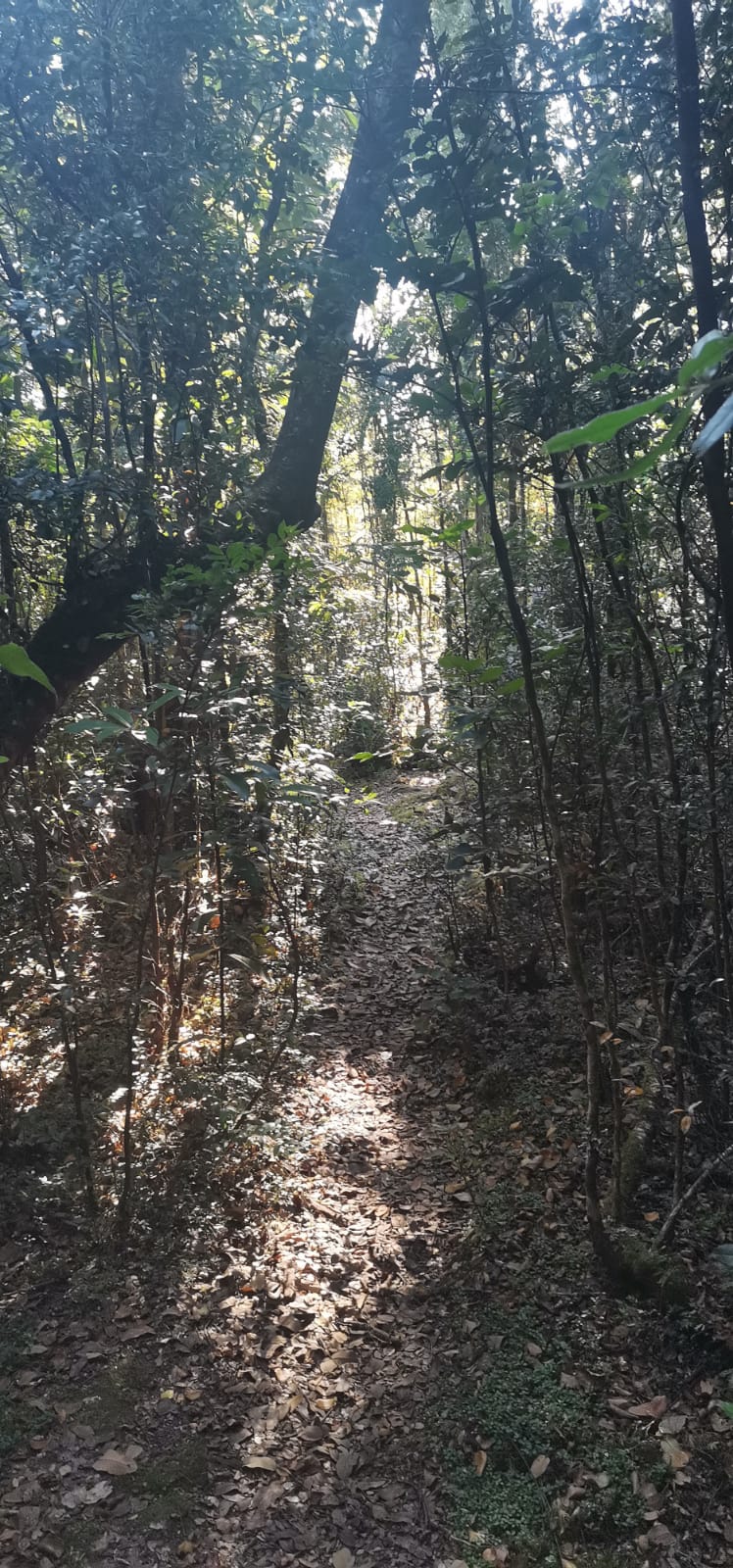 Sendero Queldica — foto 4