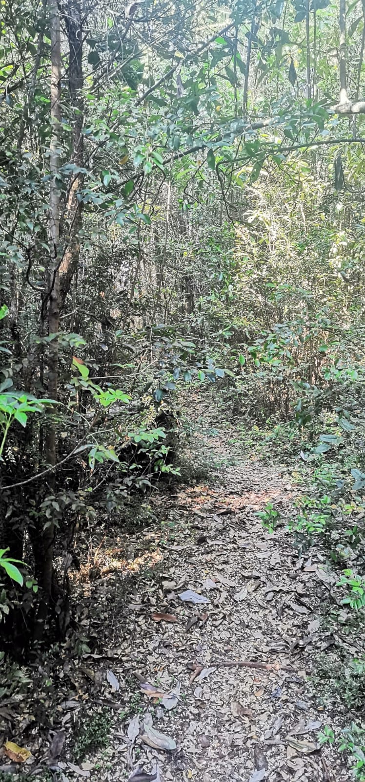 Sendero Queldica — foto 5