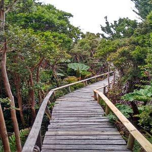 Tour Operador Chiloé — foto 4